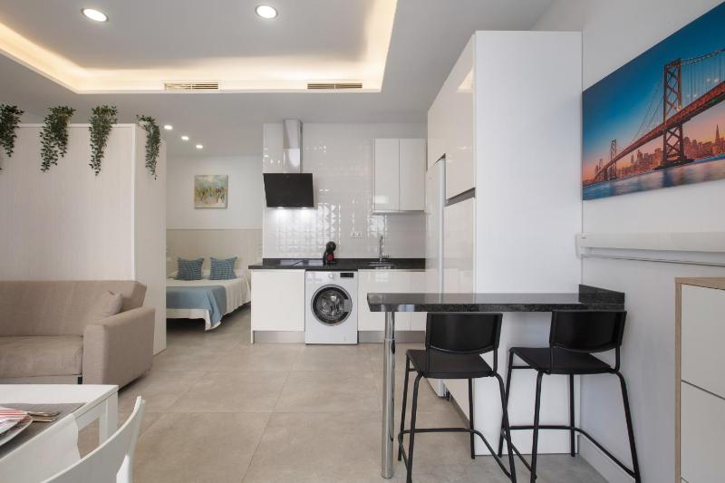 Modern Loft in Málaga - image 2