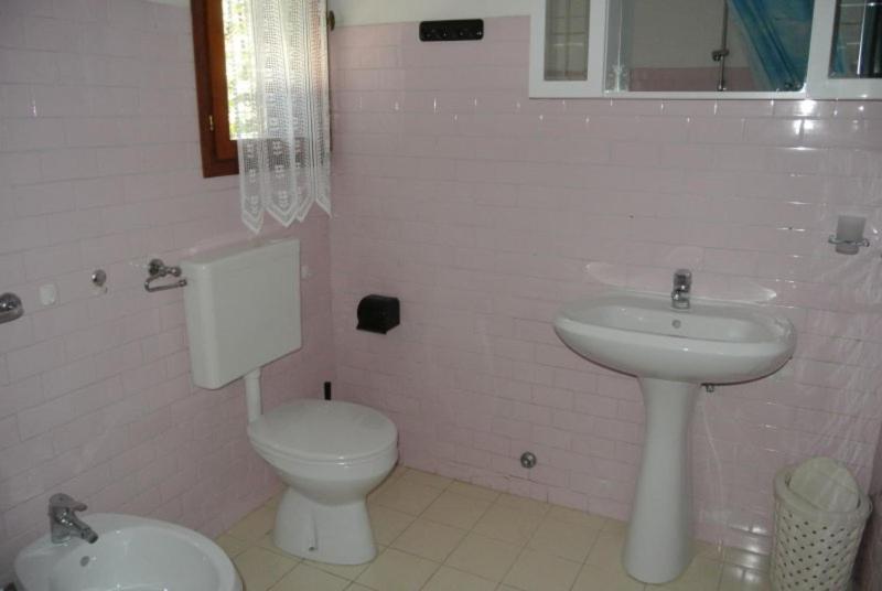 Sunny garden flat near the sea and the centre - image 12