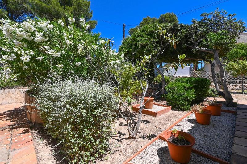 Finca Marx - image 20