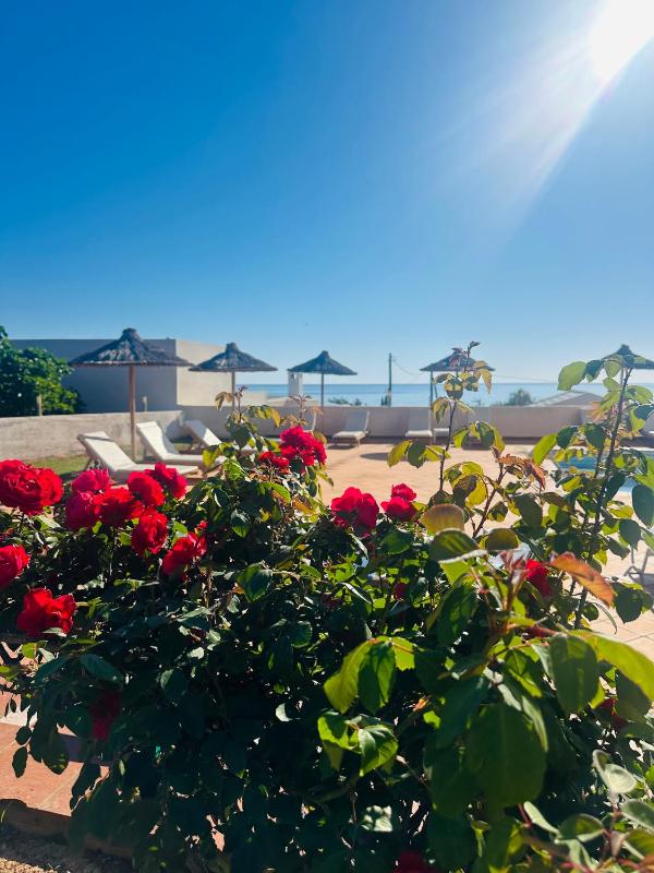 Saradari Beach Hotel - Adults Only - image 9