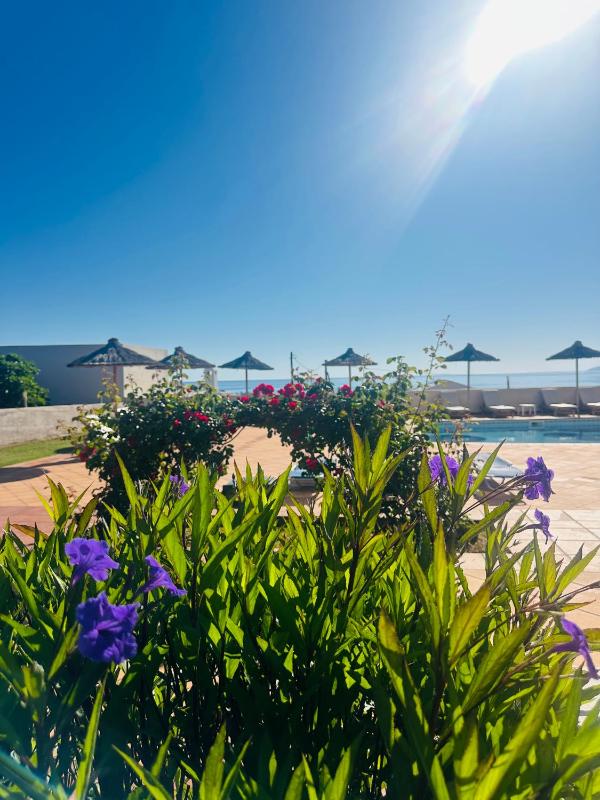 Saradari Beach Hotel - Adults Only - image 28