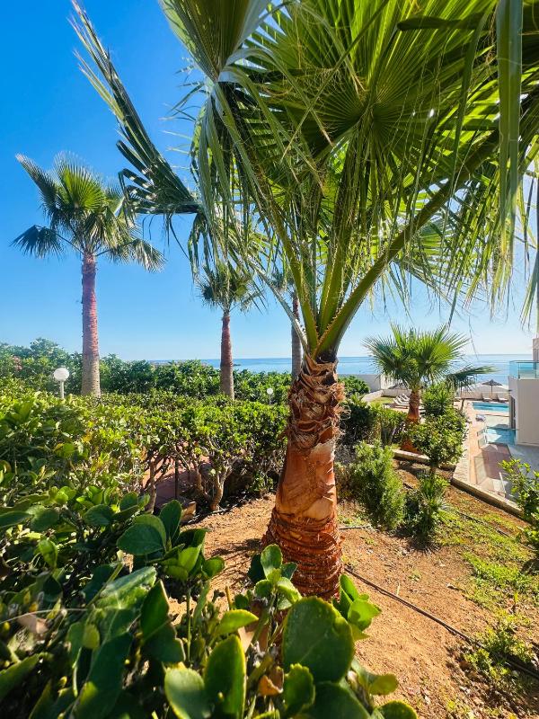 Saradari Beach Hotel - Adults Only - image 17