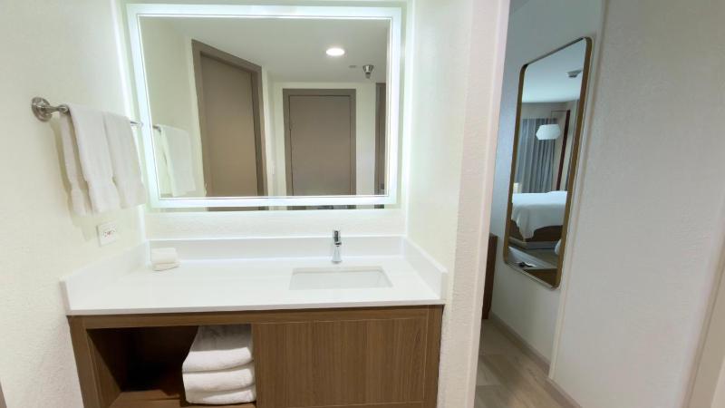 Holiday Inn Houston S - NRG Area - Med Ctr By IHG - image 30