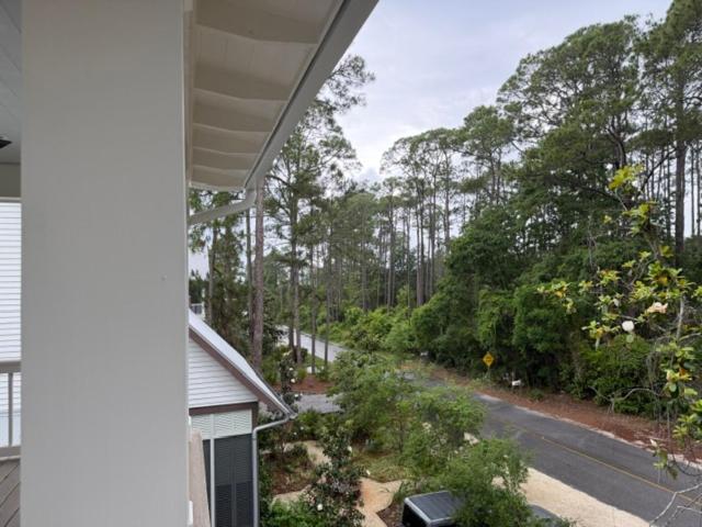 Grayt Blessings - image 22