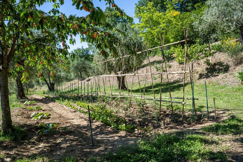 Tenuta Sagherina 8 Emma Villas - image 50