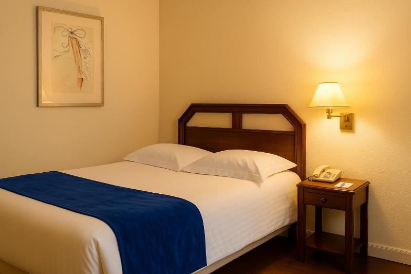 Hotel Du Parc - Mulhouse Centre - image 36