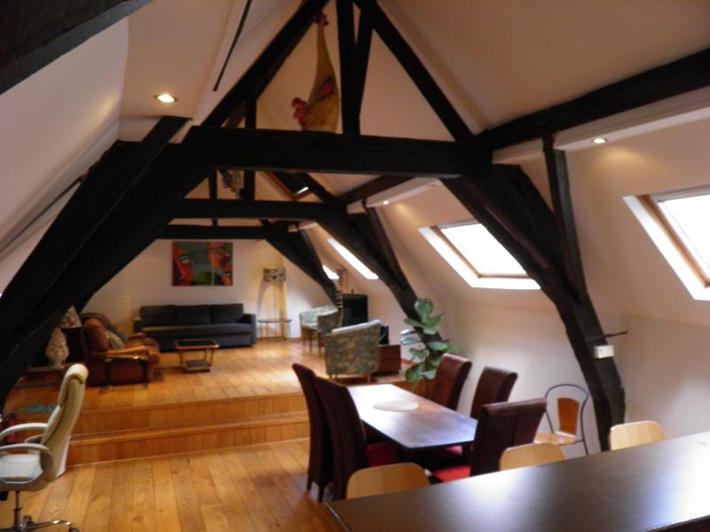 Charming Duplex in Historic Brussels - image 13