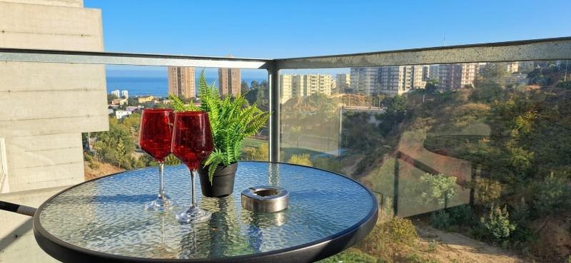 Descansa en Viña estudio con piscina y terraza - image 19