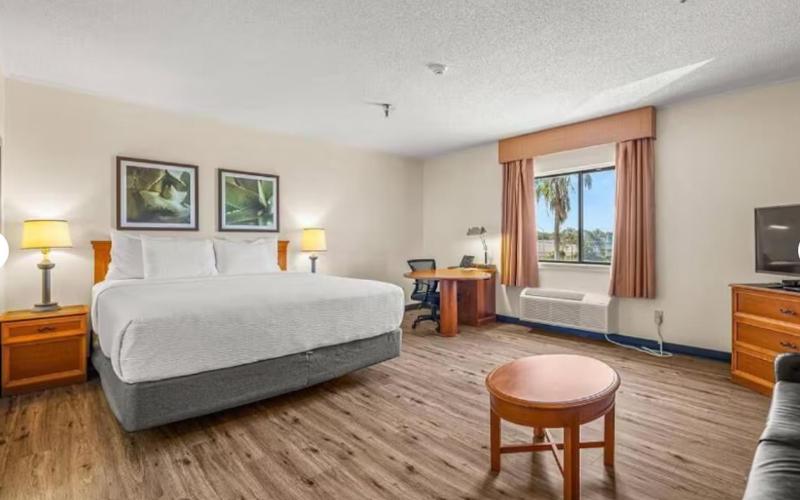 La Quinta Inn & Suites by Wyndham Tampa/Brandon West - image 24