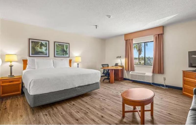 La Quinta Inn & Suites by Wyndham Tampa/Brandon West - image 23