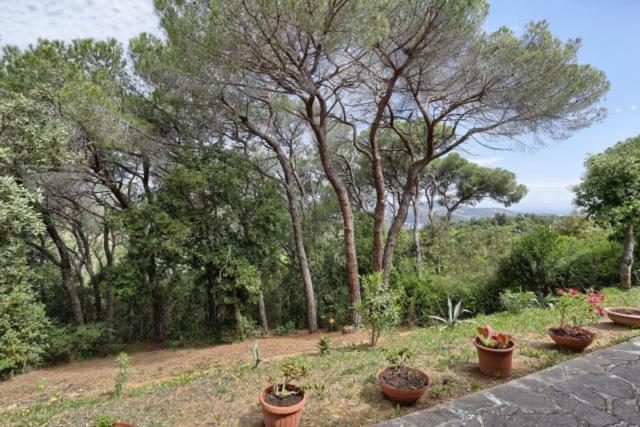 Casa Violetta - image 7