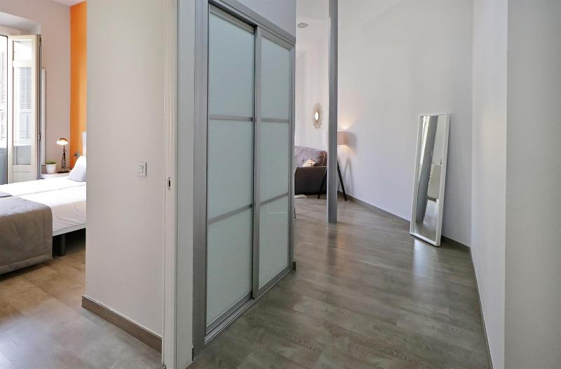 Apartamentos Calle Larios - image 8