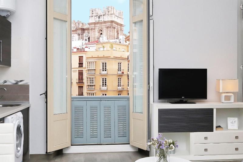 Apartamentos Calle Larios - image 12