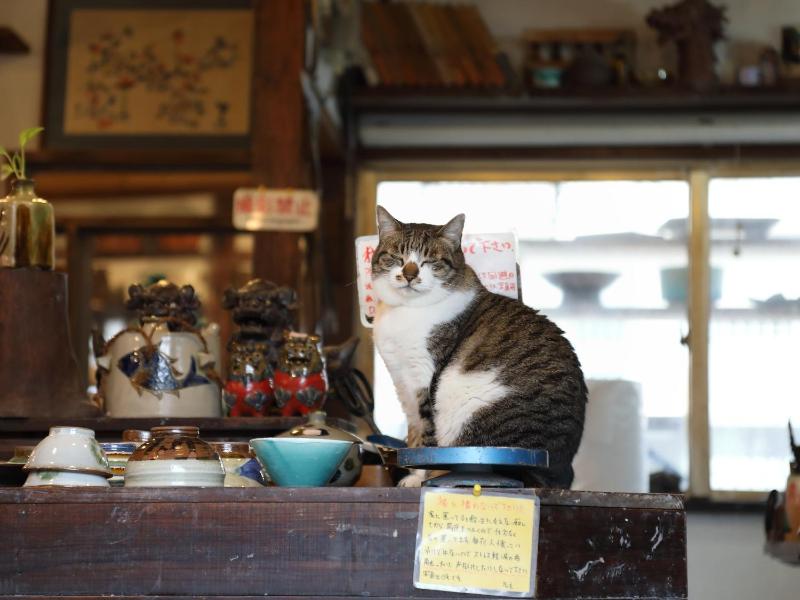 Toki no Yado Naha by Sunrest Resort - image 10