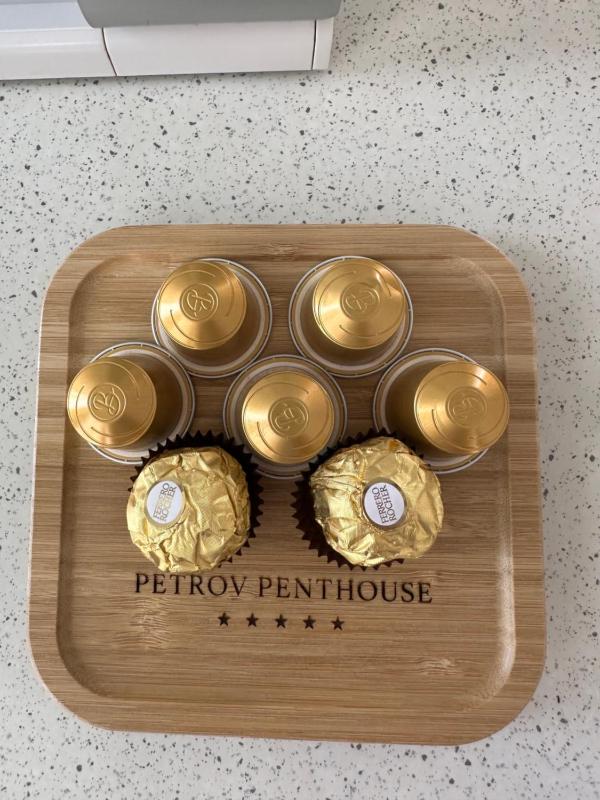 Petrov Penthouse - image 13
