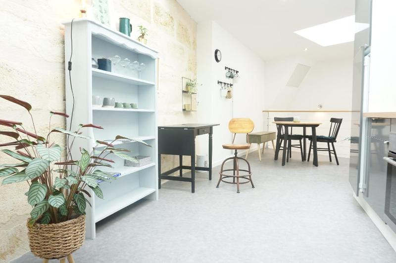 Beautiful duplex with AC - Place du Palais - image 5
