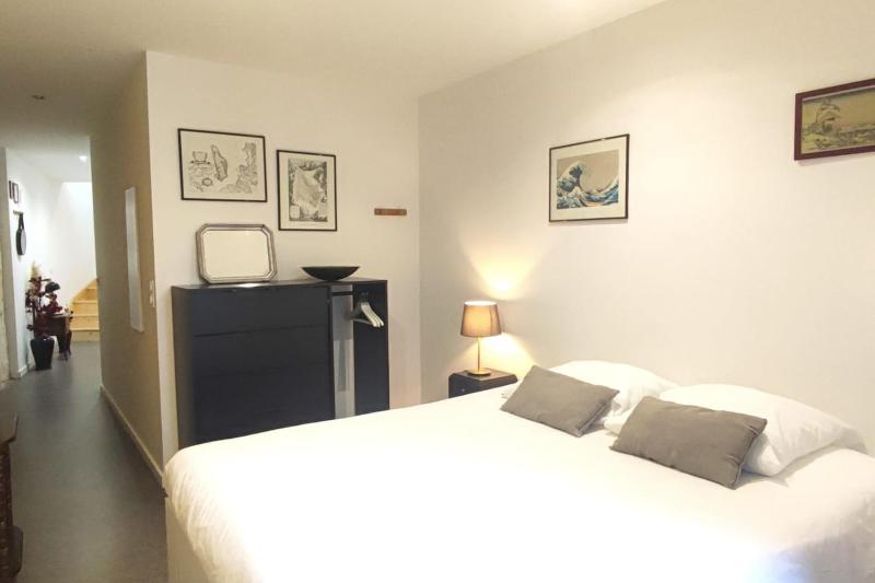 Beautiful duplex with AC - Place du Palais - image 9