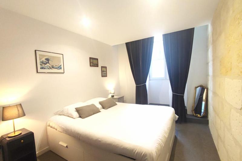 Beautiful duplex with AC - Place du Palais - image 11