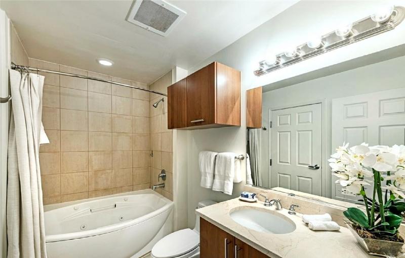 One Bedroom High Rise Residence with City Views - image 16