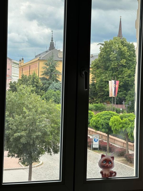 Artist Apartment with Views over Republic Square - image 13