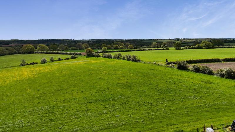 Shepherd's Crook - image 6