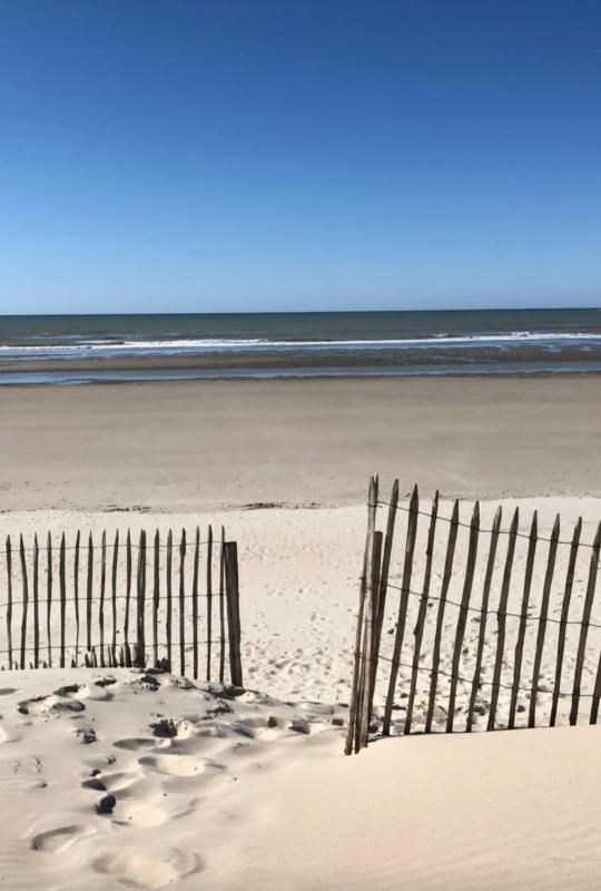 Apartment with balcony in the heart of Le Touquet - image 3