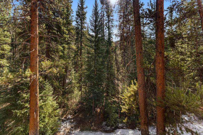 Trappers Crossing #8768 : 2 - image 36