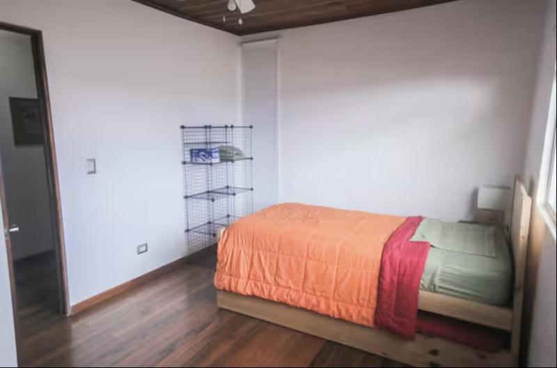 Cozy and central apartment near Plaza del Sol L102 - image 3
