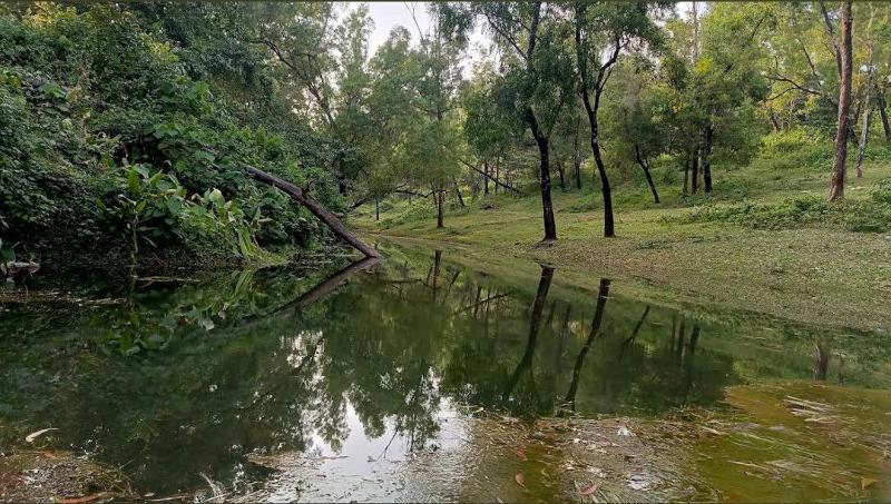 4 Acre Woods Farm Stay - image 24