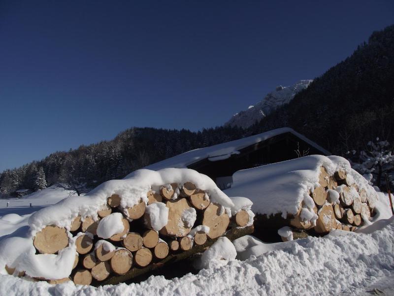 One-Bedroom Apartment image 2