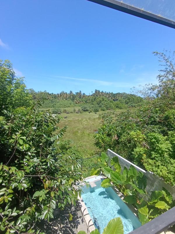 The WE2 Private Pool Nature Cabana Near Induruwa Beach - image 18