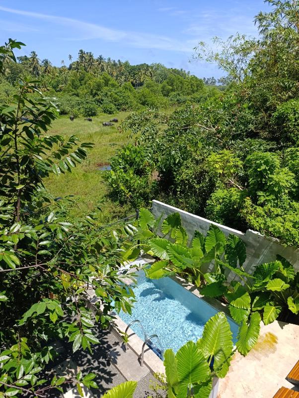The WE2 Private Pool Nature Cabana Near Induruwa Beach - image 20