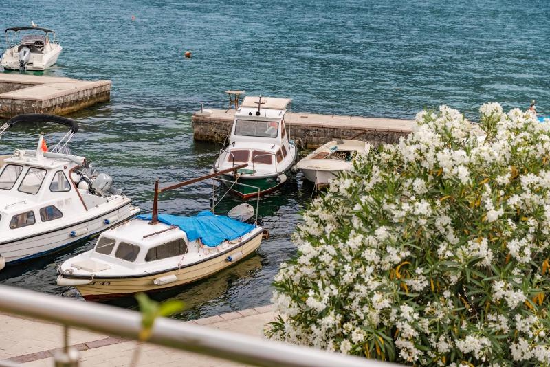 Bjelica Apartments Kotor - image 13
