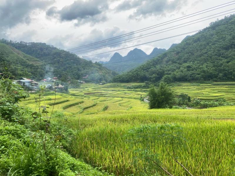 OH Pu Luong Homestay - image 48
