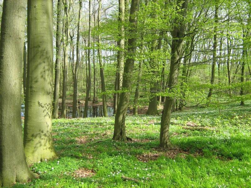 Eich Sahl Im Herrenhaus Levetzow - image 13