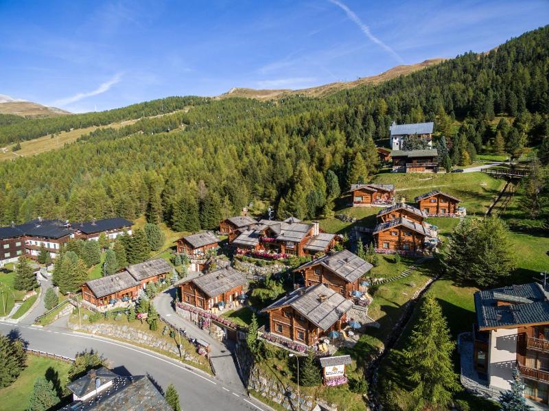 Park Chalet Village - image 6