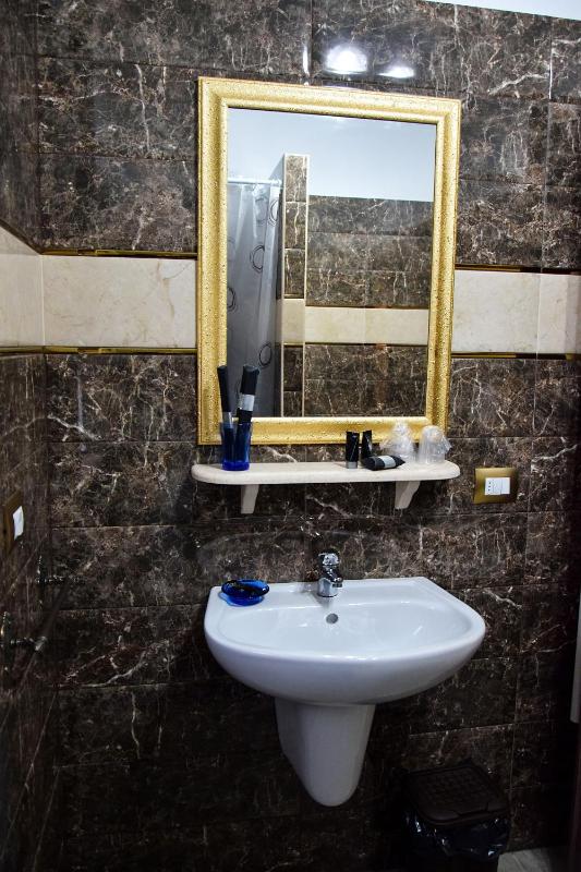 Deluxe Double or Twin Room image 4
