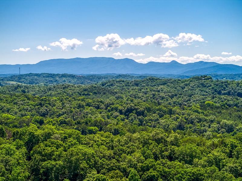 Spirit Bear Private Smoky Mountain Cabin on 4 Acres with Hot Tub - image 38