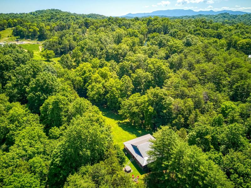Spirit Bear Private Smoky Mountain Cabin on 4 Acres with Hot Tub - image 50