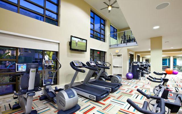 Miracle Mile Apartments - image 11