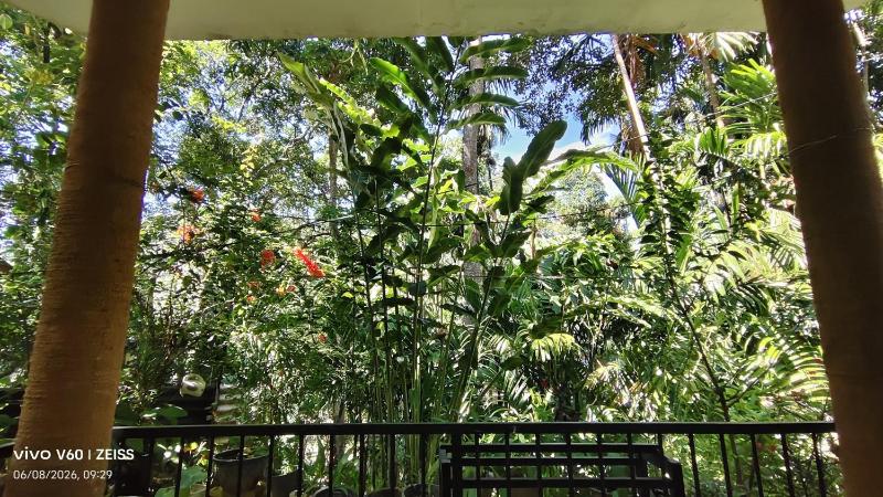 Mithun Homestay Ella - image 42