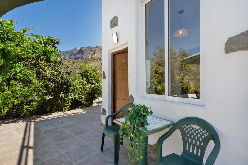 Palmeral de Taidía - image 42