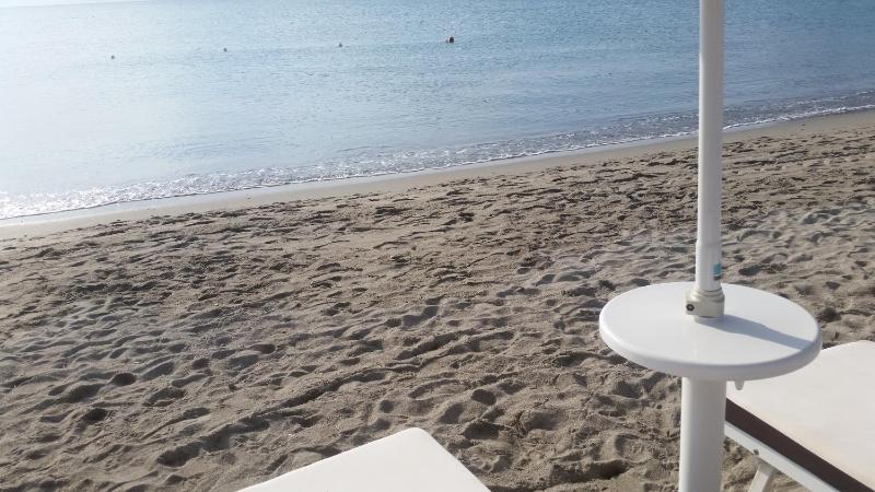 Burlamacco Gold - image 18