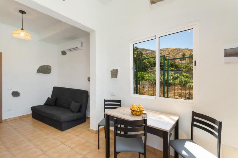 Palmeral de Taidía - image 40
