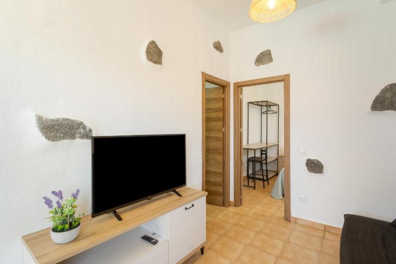 Palmeral de Taidía - image 48