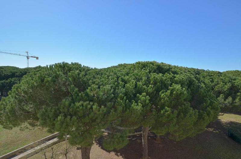 Los Amigos 162 - Studio Cabine avec une Vue Dégagée au Grau-du-Roi 4 personnes - image 4