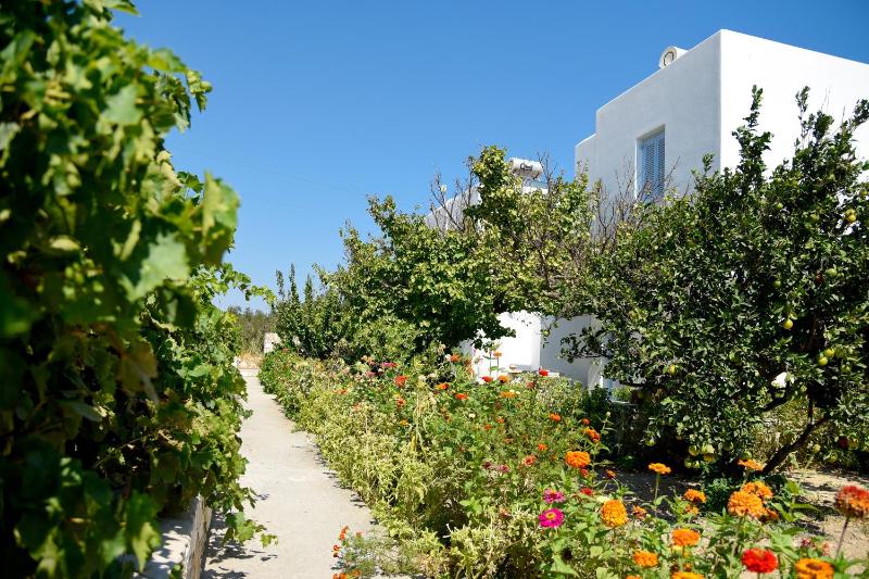 Flora & Agelos Studios - Paros - image 13