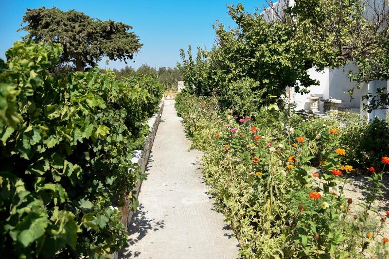 Flora & Agelos Studios - Paros - image 8