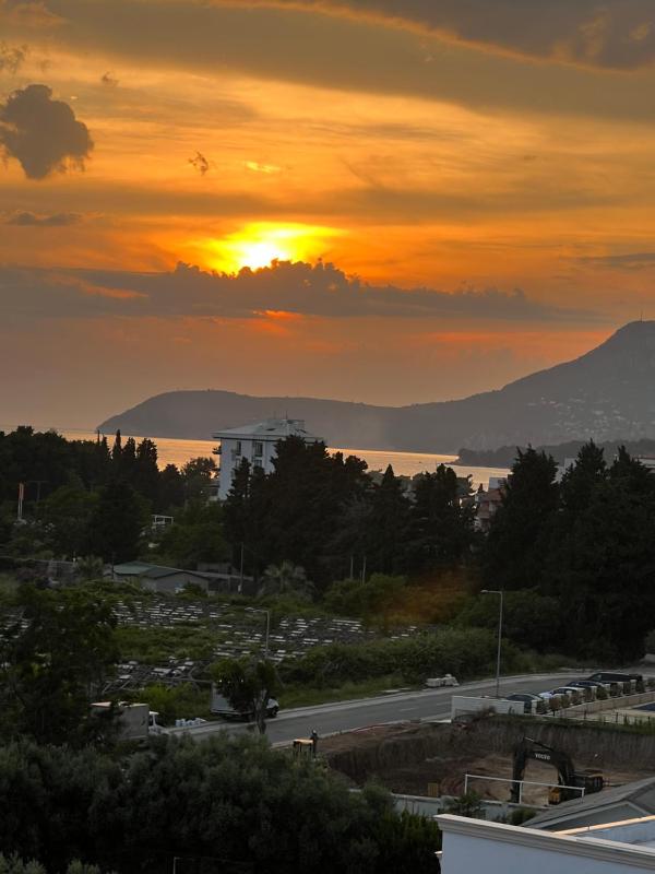 Alex apartment Bar - image 8