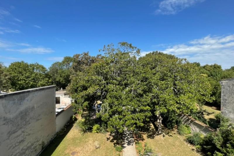 Charming 80m Near The Old Port! - image 4